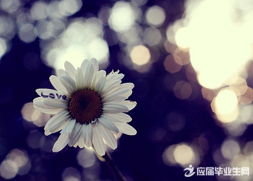 傷感的句子說說心情短語