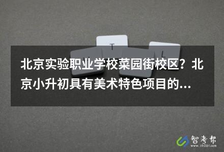 北京實驗職業(yè)學校菜園街校區(qū)？北京小升初具有美術(shù)特色項目的學校有哪些
